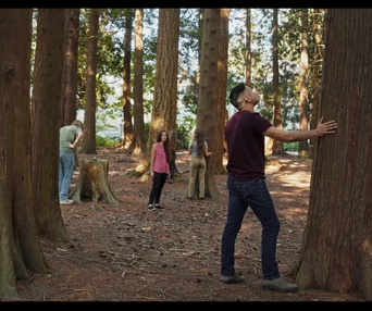 Images du film Forêts urbaines