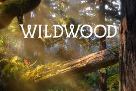 Affiche du film Wildwood