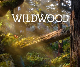Affiche du film Wildwood