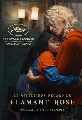 Le mystérieux regard du flamant rose