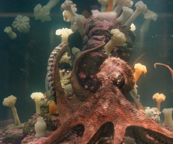 Images du film Remarkably Bright Creatures