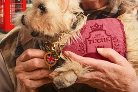 Image du film God Save the Tuche