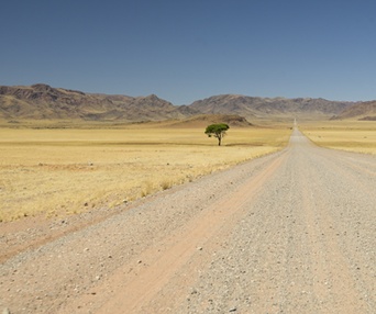 Image du film Les aventuriers voyageurs - Botswana-Namibie : de la brousse au désert